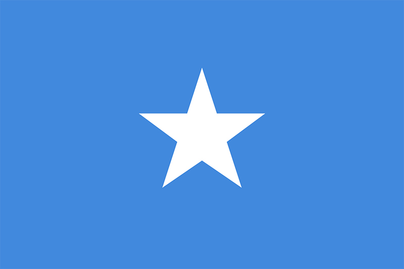 Team logo Somali Team 