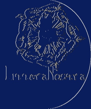Team logo LitteraNostra 