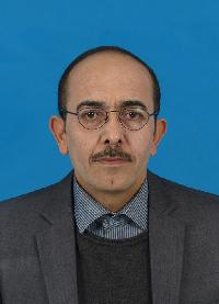 Ahmed Isagizli - arab - angol translator