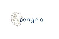 Pangeia - English to Portuguese translator