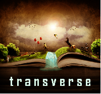 Transverse - 英語 から オランダ語 translator