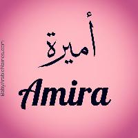 Amira Mansour - German to Arabic translator