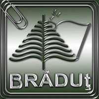Bradut Suciu - román - angol translator