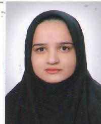 zahra razavi - inglês para persa (farsi) translator