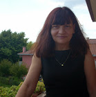 SVETLANA SPATARU - angol - román translator