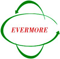 (E.T.S) Evermore Translation - English to German translator