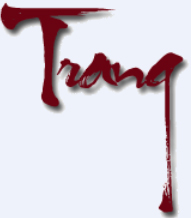Trang Hoang - англійська --> в'єтнамська translator