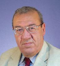 Walid El Tamer - inglês para árabe translator
