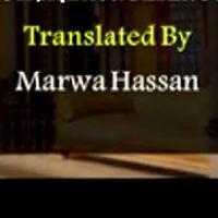 Marwa Hasan - Arabic阿拉伯语译成English英语 translator