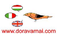 Dora Varnai - Hungarian匈牙利语译成Italian意大利语 translator